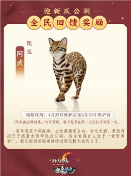 帝王出征天龙八部私服